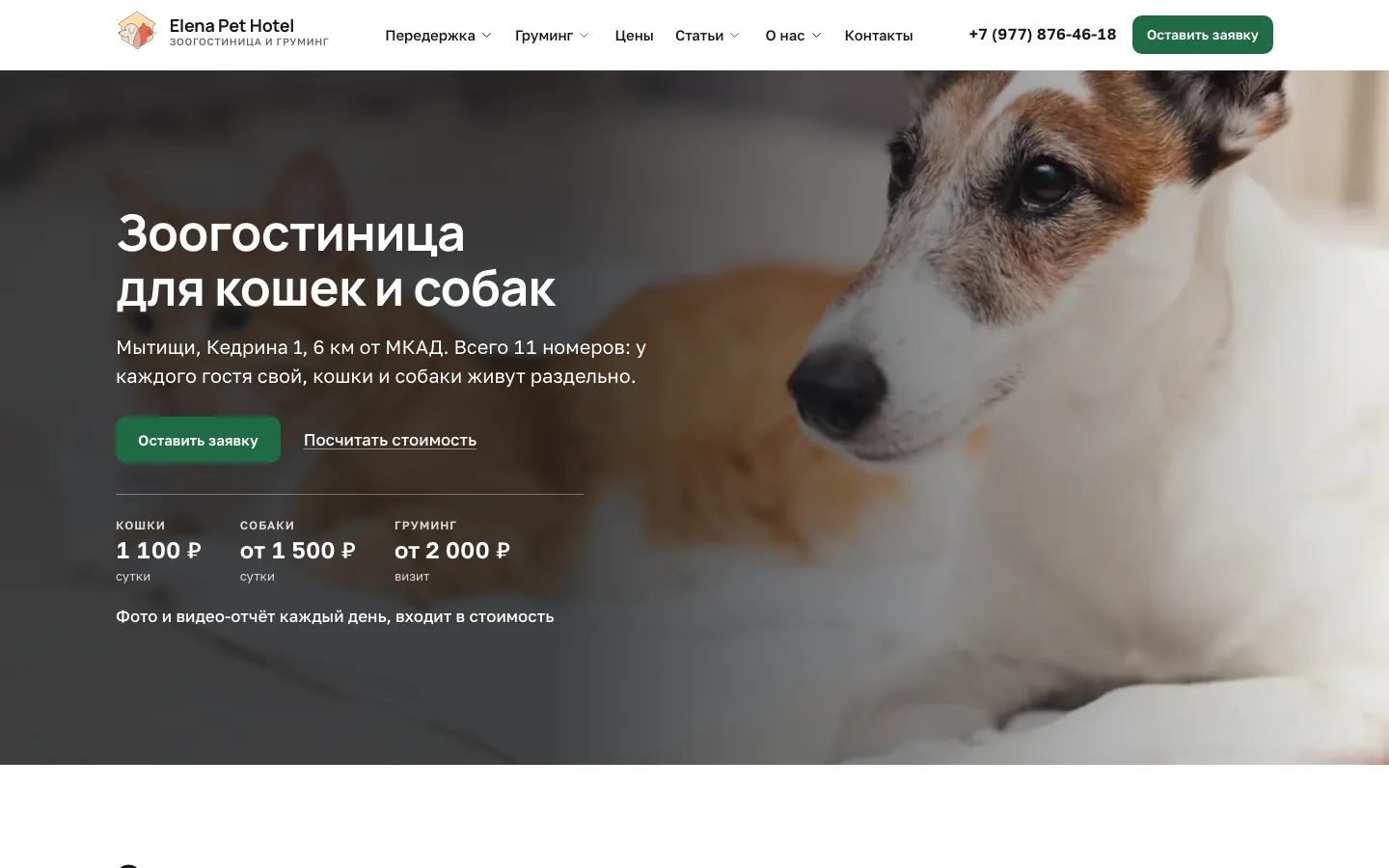 Elena Pet Hotel: первый экран